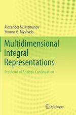 Multidimensional Integral Representations
