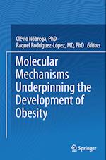 Molecular Mechanisms Underpinning the Development of Obesity