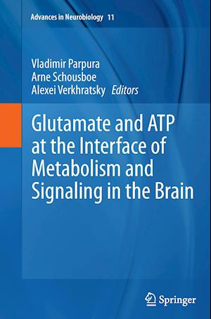 Glutamate and ATP at the Interface of Metabolism and Signaling in the Brain