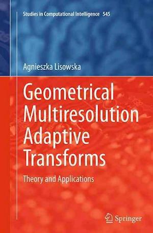 Geometrical Multiresolution Adaptive Transforms