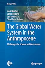 The Global Water System in the Anthropocene