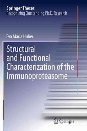 Structural and Functional Characterization of the Immunoproteasome