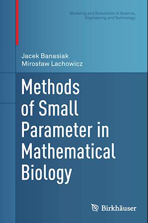 Methods of Small Parameter in Mathematical Biology