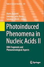 Photoinduced Phenomena in Nucleic Acids II