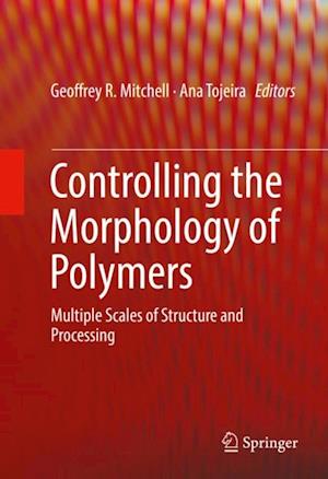 Controlling the Morphology of Polymers