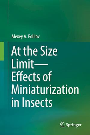 At the Size Limit - Effects of Miniaturization in Insects