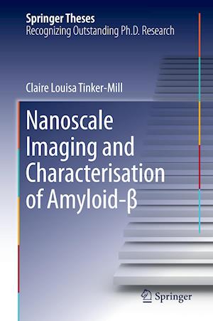 Nanoscale Imaging and Characterisation of Amyloid-ß