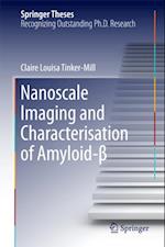 Nanoscale Imaging and Characterisation of Amyloid-