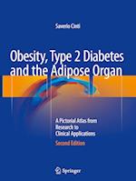 Obesity, Type 2 Diabetes and the Adipose Organ