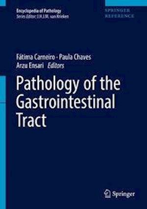 Pathology of the Gastrointestinal Tract