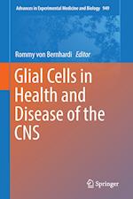 Glial Cells in Health and Disease of the CNS