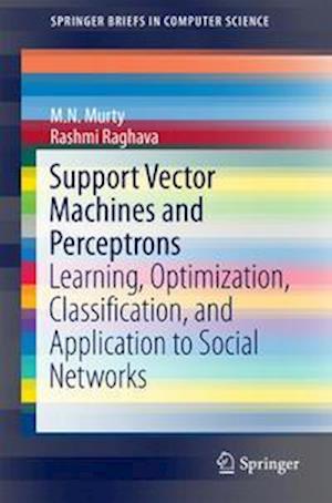 Support Vector Machines and Perceptrons