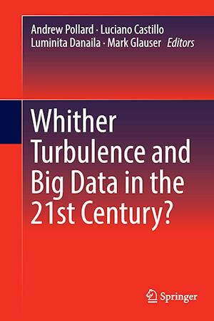 Whither Turbulence and Big Data in the 21st Century?