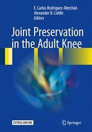 Joint Preservation in the Adult Knee