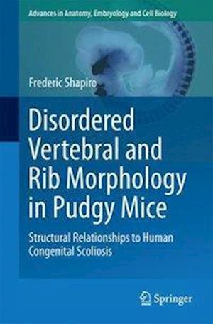 Disordered Vertebral and Rib Morphology in Pudgy Mice