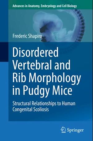 Disordered Vertebral and Rib Morphology in Pudgy Mice