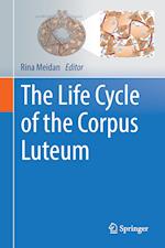 The Life Cycle of the Corpus Luteum