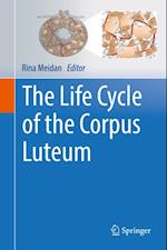 Life Cycle of the Corpus Luteum