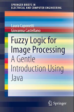 Fuzzy Logic for Image Processing