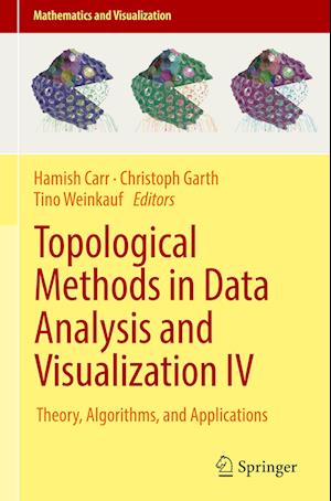 Topological Methods in Data Analysis and Visualization IV