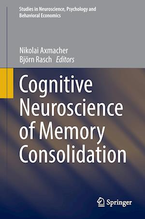 Cognitive Neuroscience of Memory Consolidation