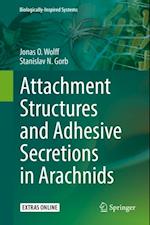 Attachment Structures and Adhesive Secretions in Arachnids