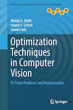 Optimization Techniques in Computer Vision