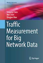 Traffic Measurement for Big Network Data