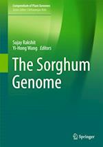 Sorghum Genome