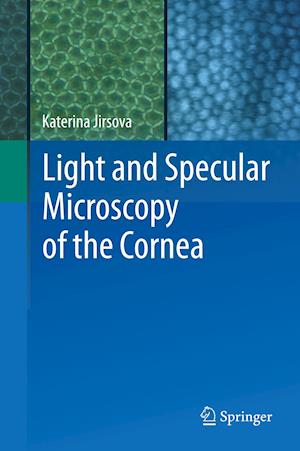 Light and Specular Microscopy of the Cornea