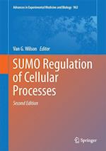 SUMO Regulation of Cellular Processes