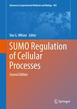 SUMO Regulation of Cellular Processes