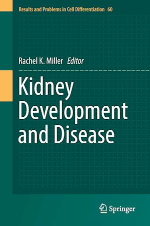 Kidney Development and Disease