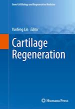 Cartilage Regeneration