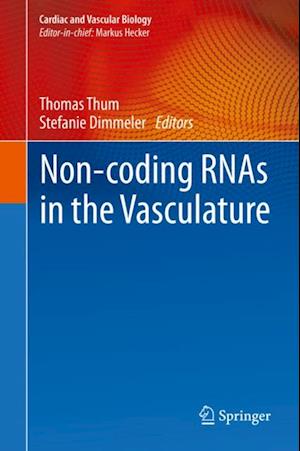 Non-coding RNAs in the Vasculature