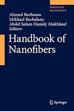 Handbook of Nanofibers