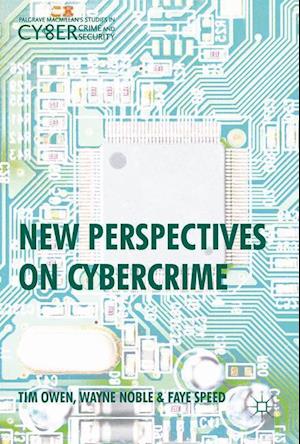 New Perspectives on Cybercrime