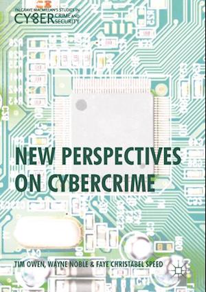 New Perspectives on Cybercrime