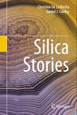 Silica Stories