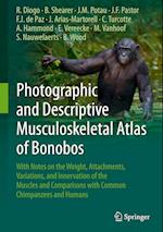 Photographic and Descriptive Musculoskeletal Atlas of Bonobos