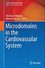 Microdomains in the Cardiovascular System