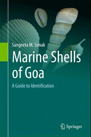 Marine Shells of Goa