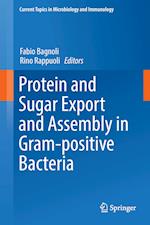 Protein and Sugar Export and Assembly in Gram-positive Bacteria