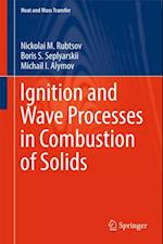 Ignition and Wave Processes in Combustion of Solids