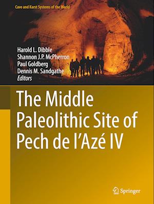 The Middle Paleolithic Site of Pech de l'Azé IV