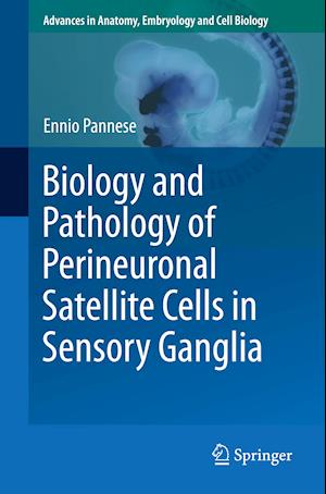 Biology and Pathology of Perineuronal Satellite Cells in Sensory Ganglia