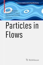 Particles in Flows