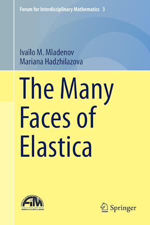 The Many Faces of Elastica