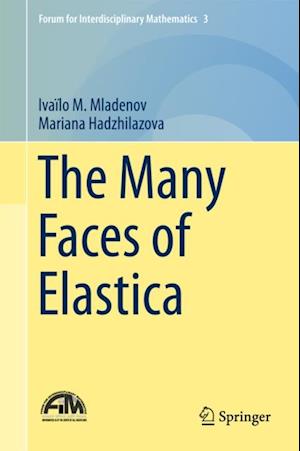 Many Faces of Elastica