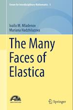 Many Faces of Elastica